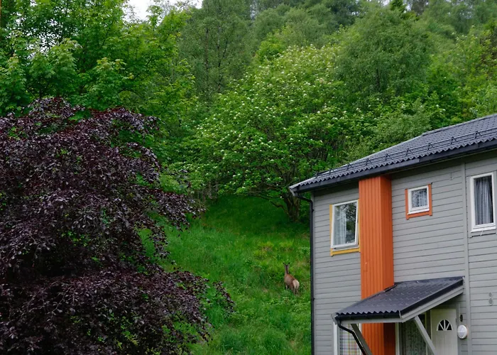 Master 아파트호텔 4*