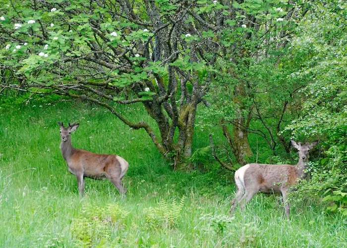 아파트호텔 Master